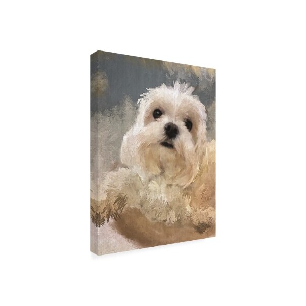 Lois Bryan Photography And Digital Art 'Happy Maltese Pup' Canvas Art,24x32